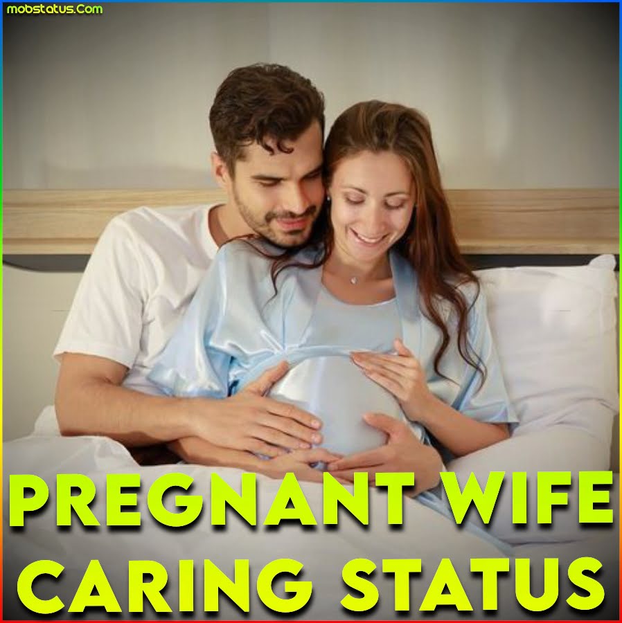 Pregnant Wife Caring Beautiful Whatsapp Status Video