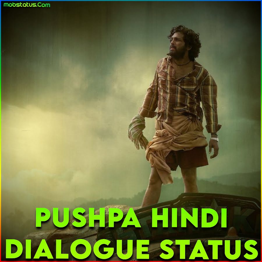 Pushpa Hindi Dialogue Action Full Screen Status Video