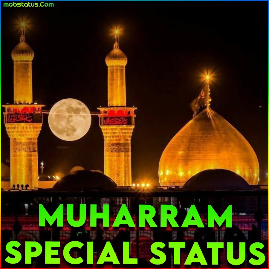 Muharram Special 2023 Whatsapp Status Video