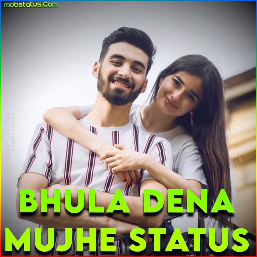 Bhula Dena Mujhe Whatsapp Status Video