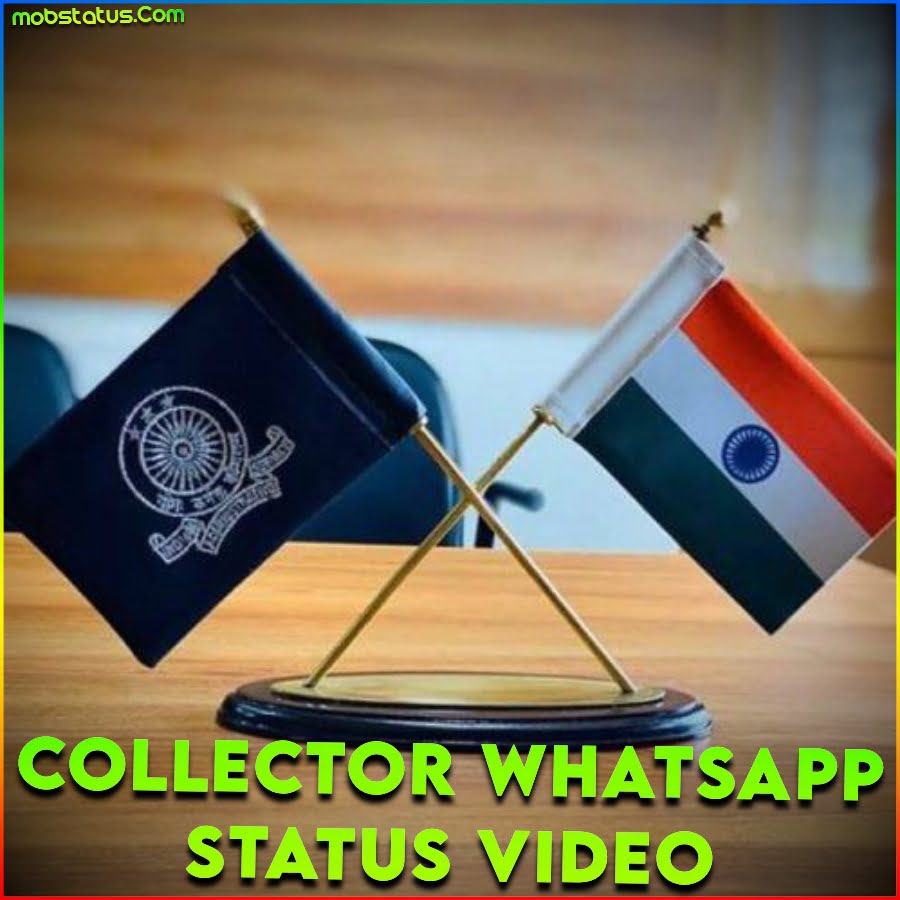Collector Whatsapp Status Video