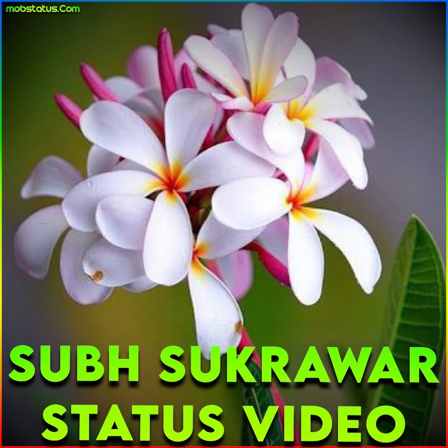 Subh Sukrawar Whatsapp Status Video