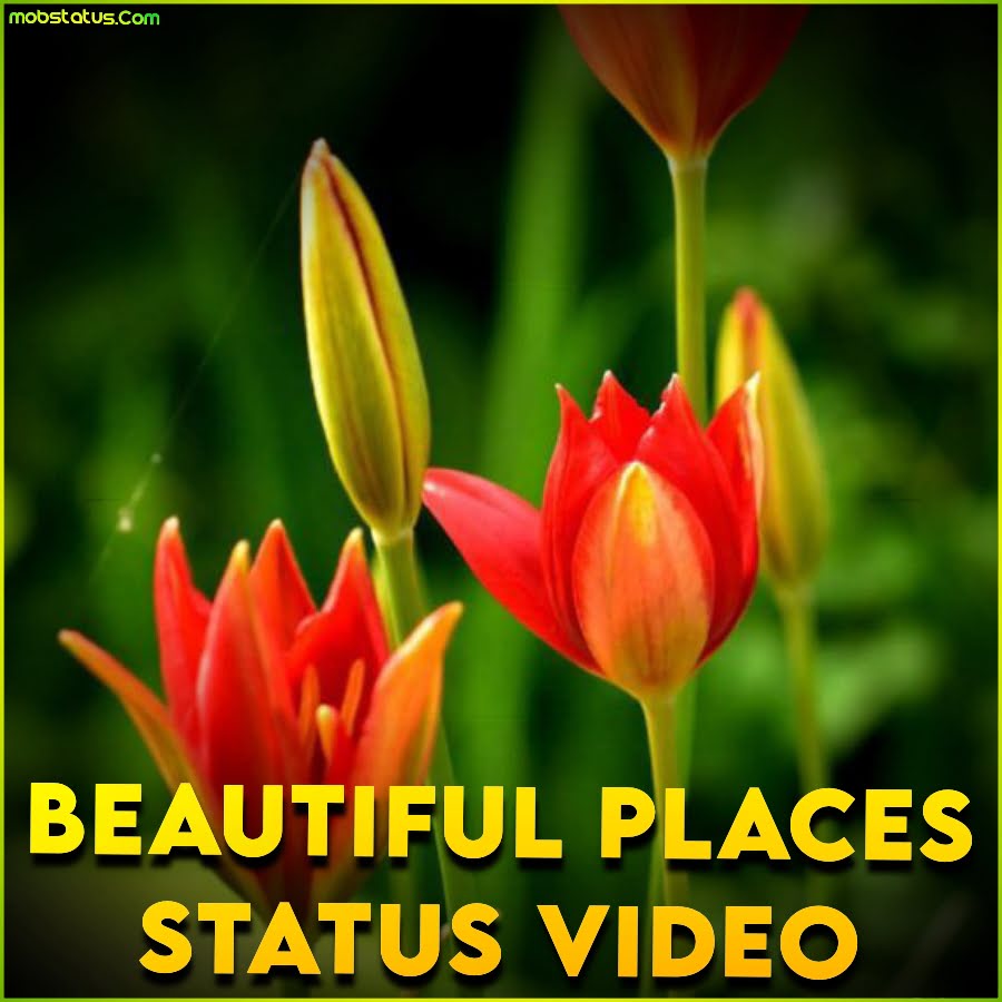 Beautiful Places Whatsapp Status Video