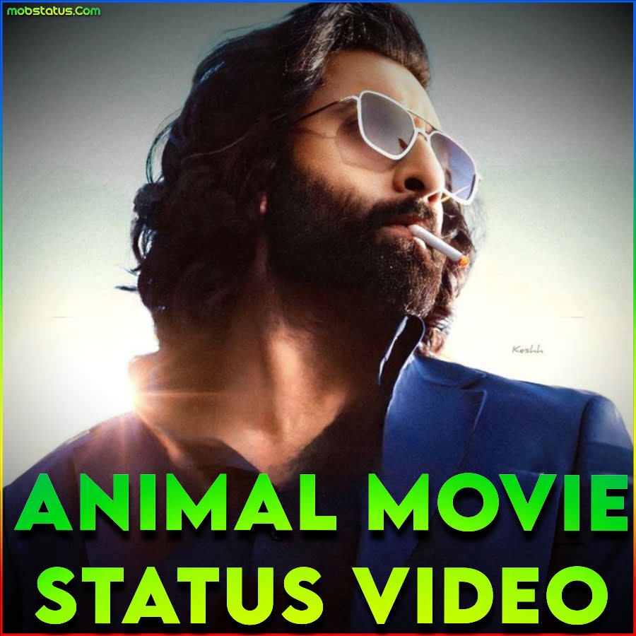 Animal Movie Status Video For Whatsapp