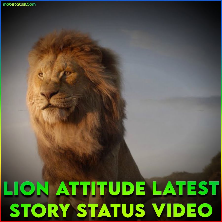 Lion Attitude Latest Story Status Video