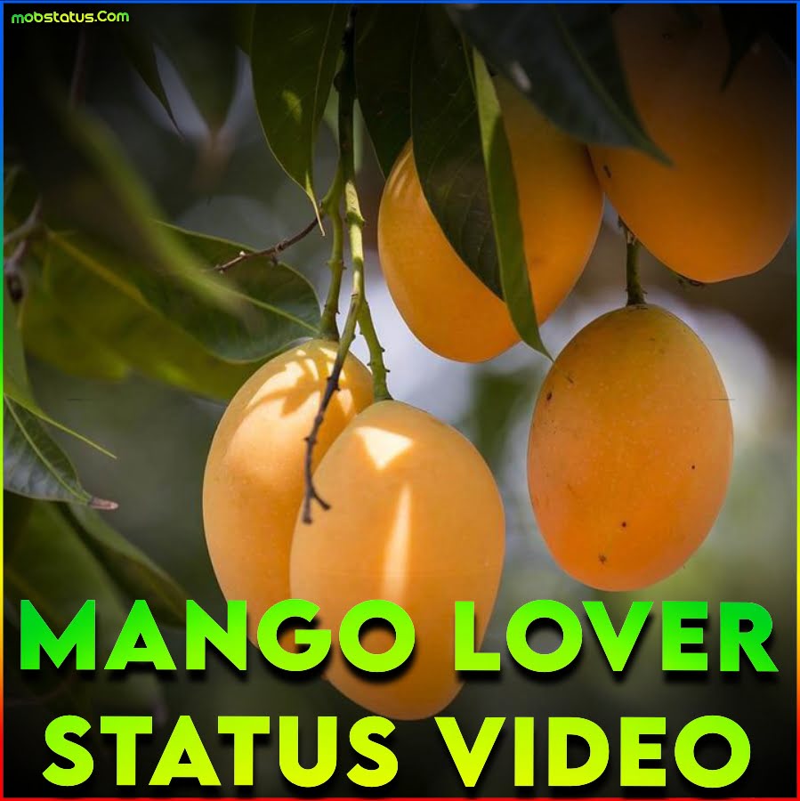 Mango Lover WhatsApp Status Video