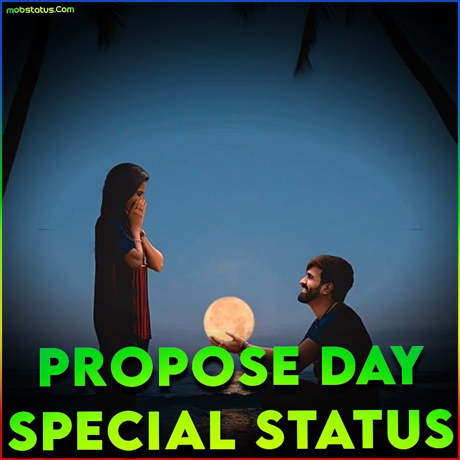 Propose Day Special 4k Full Screen Whatsapp Status Video
