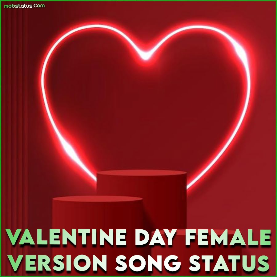 Valentine Day Female Version Song Status Video