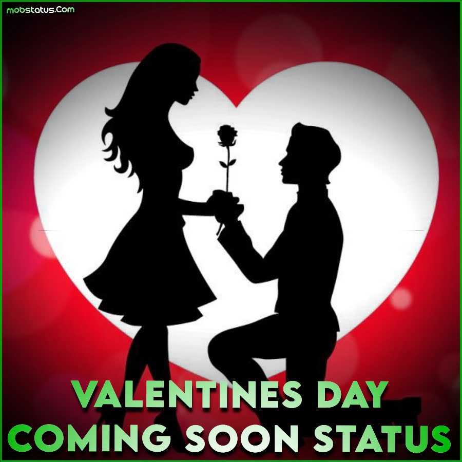 Valentines Day Coming Soon Whatsapp Status Video